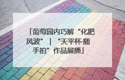 葡萄园内巧解“化肥风波”｜“天平杯·随手拍”作品展播