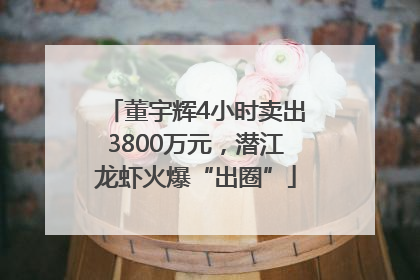 董宇辉4小时卖出3800万元，潜江龙虾火爆“出圈”