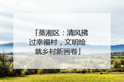 蒸湘区：清风拂过幸福村，文明绘就乡村新画卷