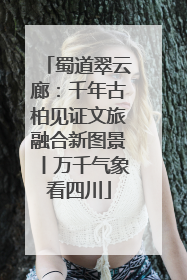 蜀道翠云廊：千年古柏见证文旅融合新图景丨万千气象看四川