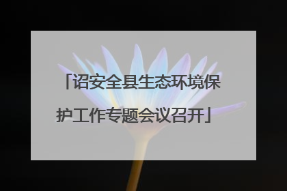 诏安全县生态环境保护工作专题会议召开