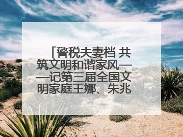 警税夫妻档 共筑文明和谐家风——记第三届全国文明家庭王娜、朱兆鹏家庭