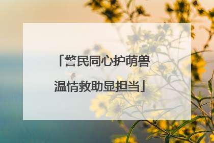 警民同心护萌兽 温情救助显担当