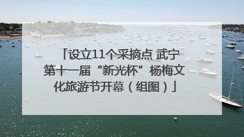 设立11个采摘点 武宁第十一届“新光杯”杨梅文化旅游节开幕（组图）