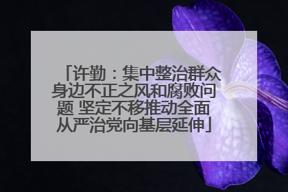 许勤：集中整治群众身边不正之风和腐败问题 坚定不移推动全面从严治党向基层延伸