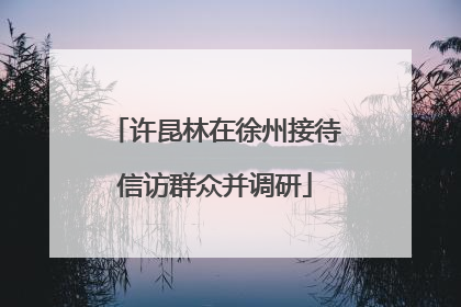 许昆林在徐州接待信访群众并调研