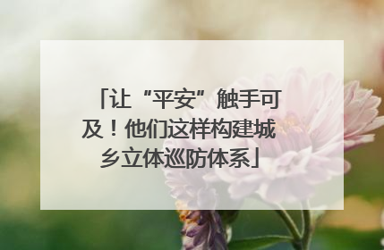 让“平安”触手可及！他们这样构建城乡立体巡防体系
