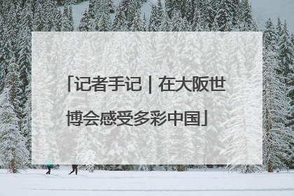 记者手记｜在大阪世博会感受多彩中国