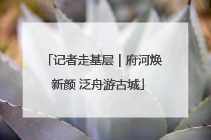 记者走基层｜府河焕新颜 泛舟游古城