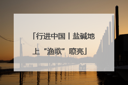 行进中国丨盐碱地上“渔歌”嘹亮