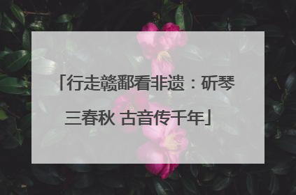 行走赣鄱看非遗：斫琴三春秋 古音传千年