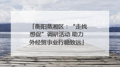 衡阳蒸湘区：“走找想促”调研活动 助力外经贸事业行稳致远
