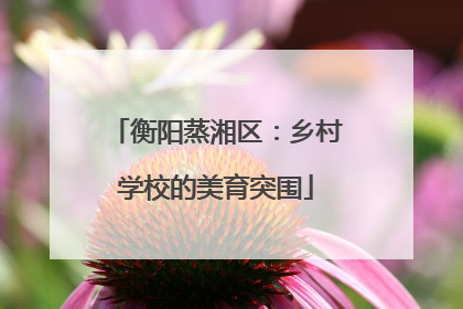 衡阳蒸湘区：乡村学校的美育突围