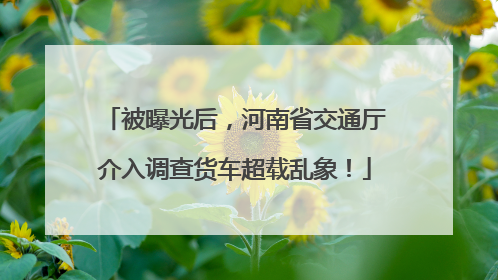 被曝光后，河南省交通厅介入调查货车超载乱象！