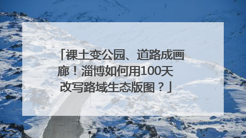 裸土变公园、道路成画廊！淄博如何用100天改写路域生态版图？