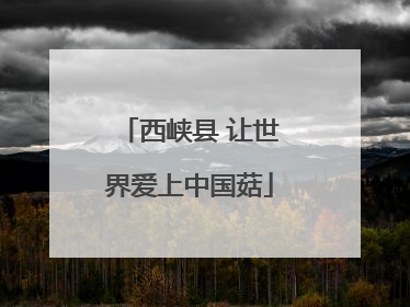 西峡县 让世界爱上中国菇