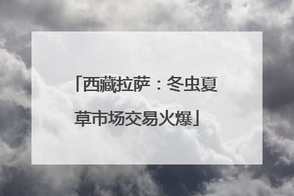 西藏拉萨：冬虫夏草市场交易火爆