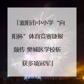 襄阳市中小学“向阳杯”体育竞赛捷报频传 樊城区学校斩获多项冠军