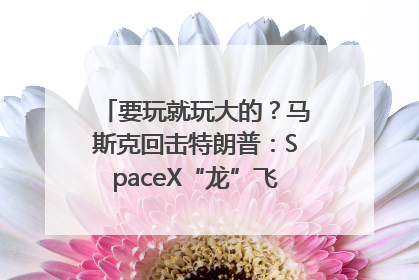要玩就玩大的？马斯克回击特朗普：SpaceX“龙”飞船将立即退役！