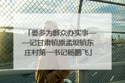 要多为群众办实事——记甘肃镇原孟坝镇东庄村第一书记杨鹏飞