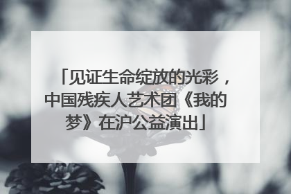 见证生命绽放的光彩，中国残疾人艺术团《我的梦》在沪公益演出