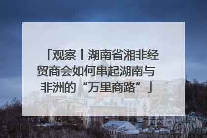 观察丨湖南省湘非经贸商会如何串起湖南与非洲的“万里商路”