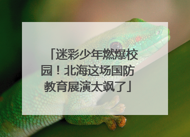 迷彩少年燃爆校园！北海这场国防教育展演太飒了