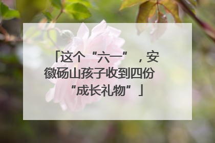 这个“六一”，安徽砀山孩子收到四份“成长礼物”