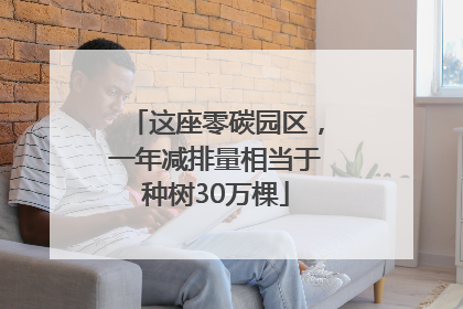 这座零碳园区，一年减排量相当于种树30万棵