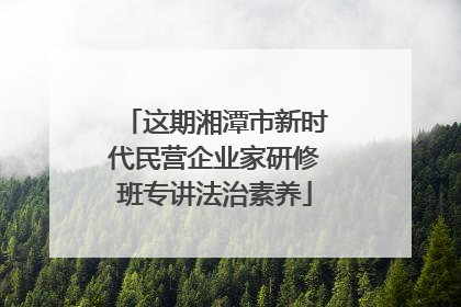 这期湘潭市新时代民营企业家研修班专讲法治素养