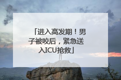进入高发期！男子被咬后，紧急送入ICU抢救