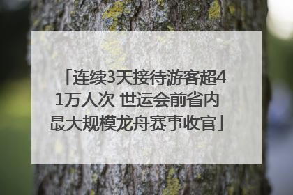 连续3天接待游客超41万人次 世运会前省内最大规模龙舟赛事收官