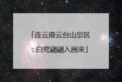 连云港云台山景区：白鹭翩翩入画来