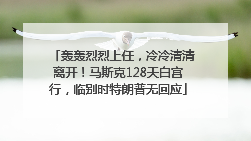 轰轰烈烈上任，冷冷清清离开！马斯克128天白宫行，临别时特朗普无回应
