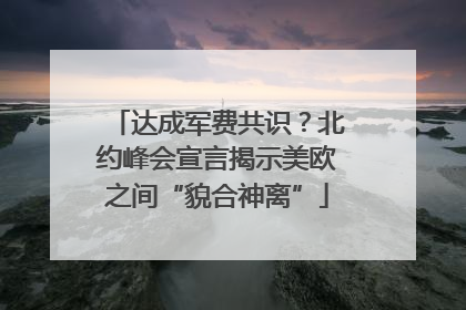 达成军费共识？北约峰会宣言揭示美欧之间“貌合神离”