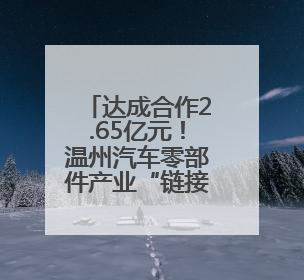 达成合作2.65亿元！温州汽车零部件产业“链接”上海
