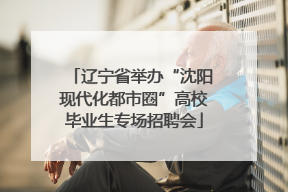 辽宁省举办“沈阳现代化都市圈”高校毕业生专场招聘会