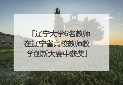 辽宁大学6名教师在辽宁省高校教师教学创新大赛中获奖