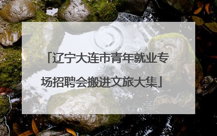 辽宁大连市青年就业专场招聘会搬进文旅大集