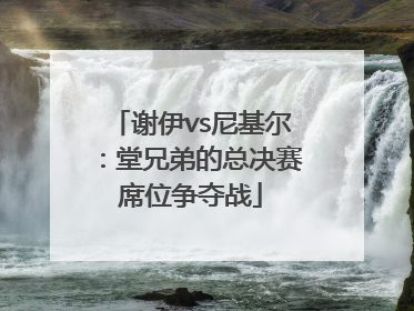 谢伊vs尼基尔：堂兄弟的总决赛席位争夺战