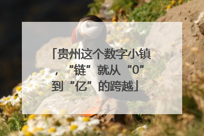 贵州这个数字小镇，“链”就从“0”到“亿”的跨越