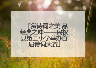 赏诗词之美 品经典之味——民权县第三小学举办首届诗词大赛