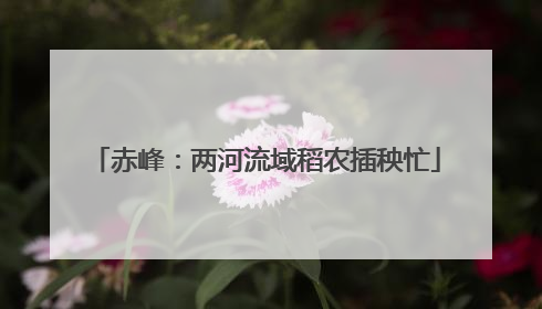 赤峰：两河流域稻农插秧忙