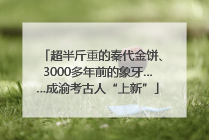 超半斤重的秦代金饼、3000多年前的象牙……成渝考古人“上新”