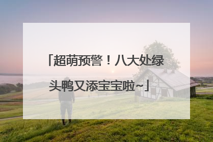 超萌预警！八大处绿头鸭又添宝宝啦~