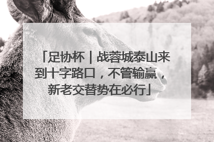 足协杯｜战蓉城泰山来到十字路口，不管输赢，新老交替势在必行
