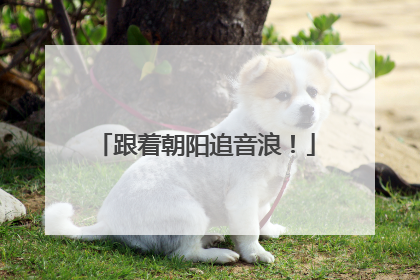 跟着朝阳追音浪！