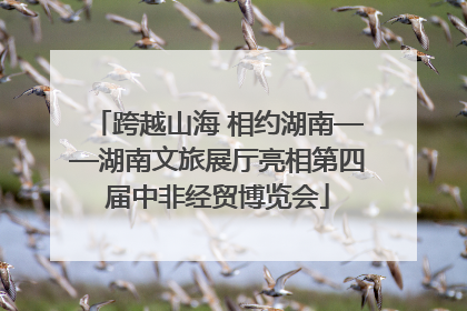 跨越山海 相约湖南——湖南文旅展厅亮相第四届中非经贸博览会