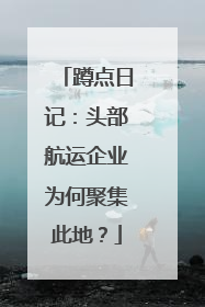 蹲点日记：头部航运企业为何聚集此地？