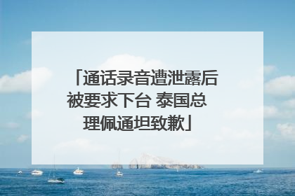 通话录音遭泄露后被要求下台 泰国总理佩通坦致歉